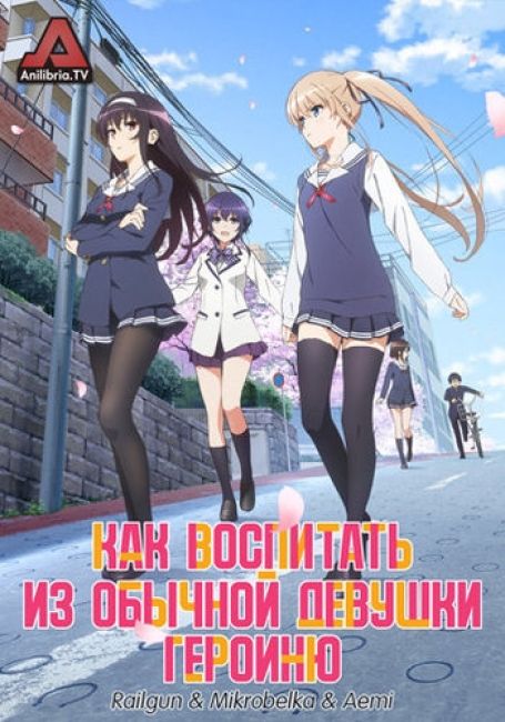 Как воспитать из обычной девушки героиню / Saenai Heroine no Sodatekata