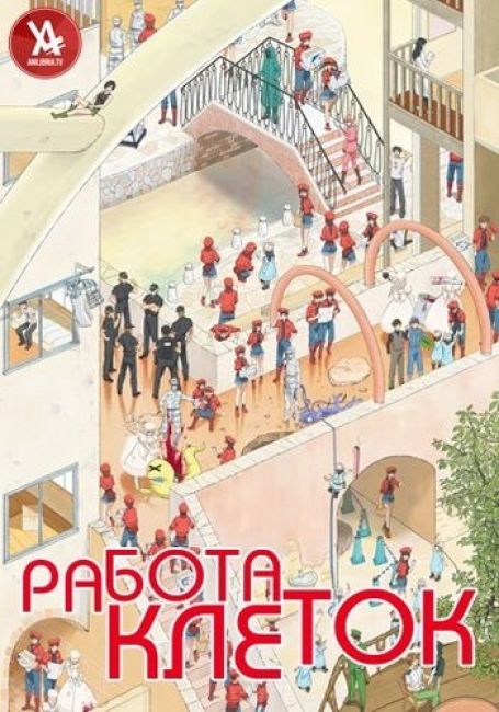 Работа клеток / Hataraku Saibou