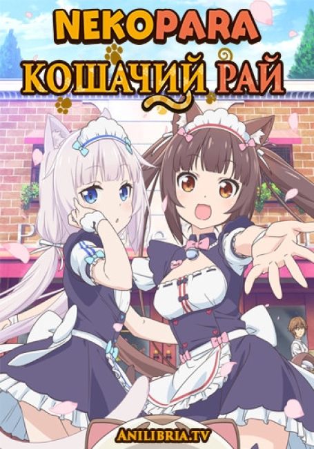 Кошачий рай (TV) / Nekopara (TV)