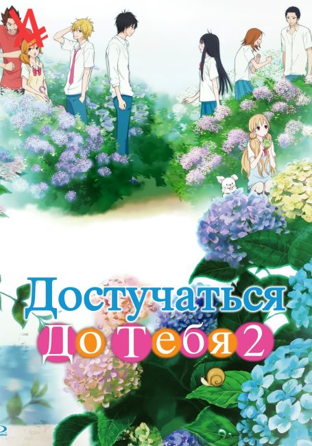 Достучаться до тебя 2 / Kimi ni Todoke 2nd Season